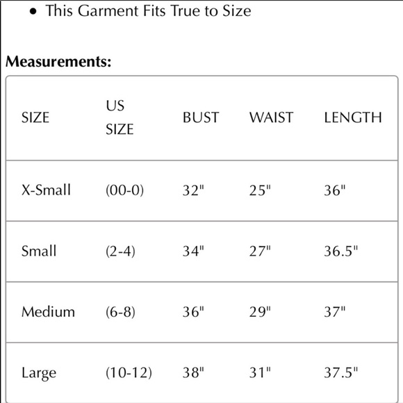 Böhme Celine Velvet Dress NWT - Picture 4 of 6